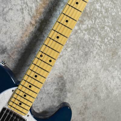 Fujigen/FGN NTE110MMHT-TBL Transparent Blue 3.34kg #A241016［Made in Japan］［YK012］ image 3