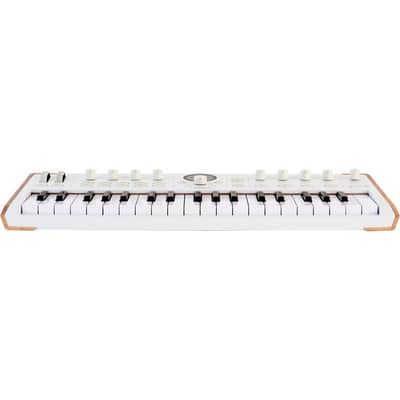 Arturia Astrolab 37 Avant-Garde Stage Keyboard image 2