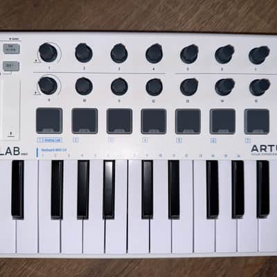 Arturia MiniLab MkII 25-Key MIDI Controller 2017 - Present - White imagen 2