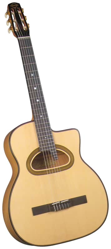 Gitane DG-560 Nylon String image 1