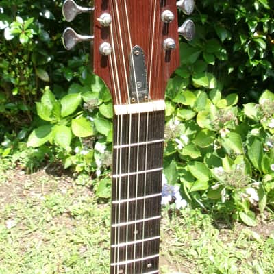 1969 Yamaha Nippon Gakki FG230 Red Label 12 strings guitar Natural image 5