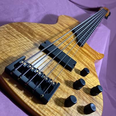 RARE Bolin NS Design NS-5 Bass sn:0127 Ned Steinberger VIDEO DEMO *FACTORY HARD SHELL CASE EXCELLENT image 1