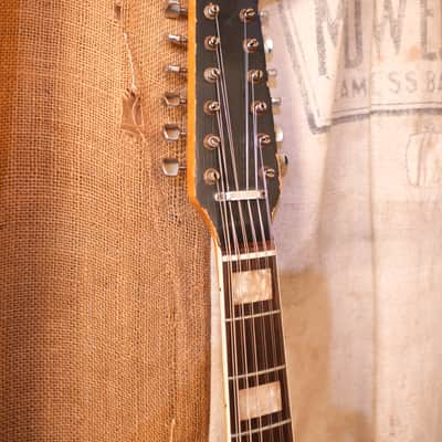 Fender Coronado XII 1967 - Sunburst image 3