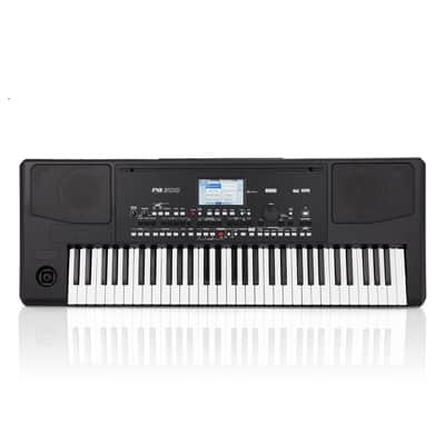 Korg Pa300 image 2