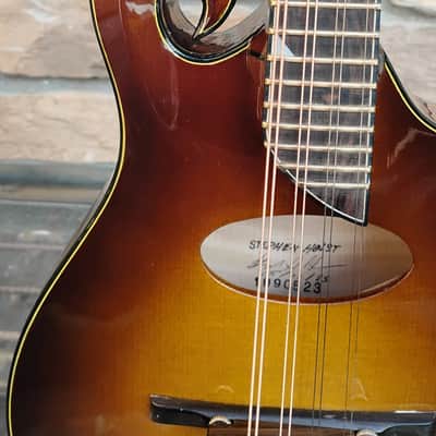 Holst F-4 Hybrid 2023 - Sunburst image 7