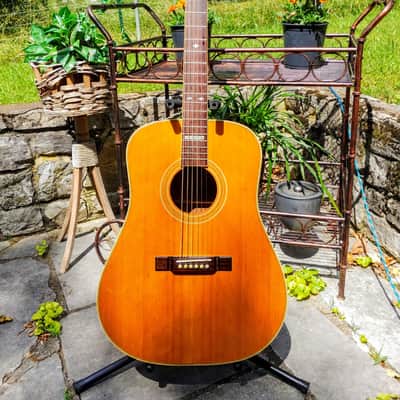 1993 WASHBURN D93 LTD ACOUSTIC GUITAR image 1