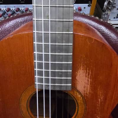 Wolfram The Triumph Metal Fret Board Slotted Headstock 12 Fret Parlor 1890s 1900s 1910s image 2