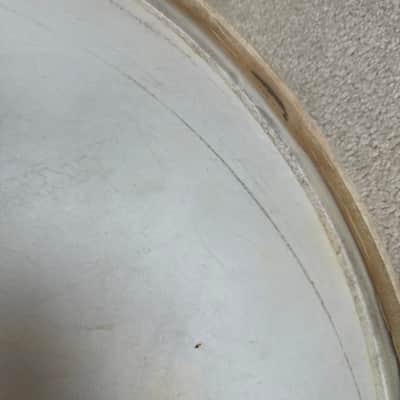 Slingerland Vintage Radio King 24” Genuine Calf Skin Bass Drum Head Lot #2 40s - Calfskin image 17