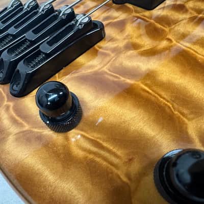 Parker USA FB-5 fb5 Fly 5-string Bass image 16