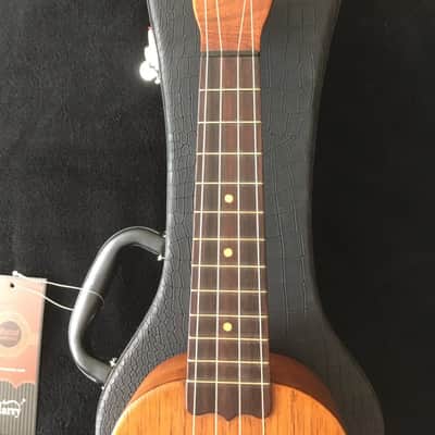 Lyon & Healy / Washburn Soprano 1920s image 4