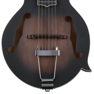 Gold Tone F-12 12-string Acoustic-electric Mando-Guitar - Tobacco Sunburst image 2