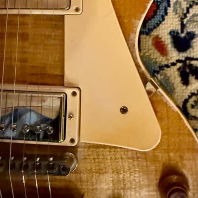Gibson Les Paul Standard - Dax Relic image 6