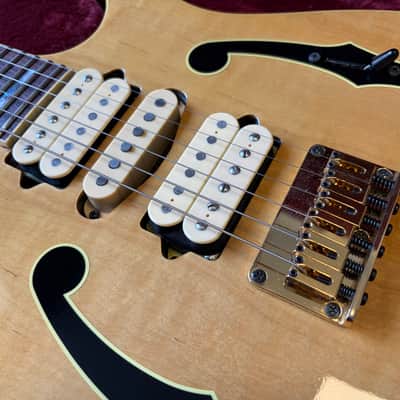 Ibanez PGM10TH Paul Gilbert 10th Anniversary Limited Edition w/ Original Strap, Tags & Paperwork image 10