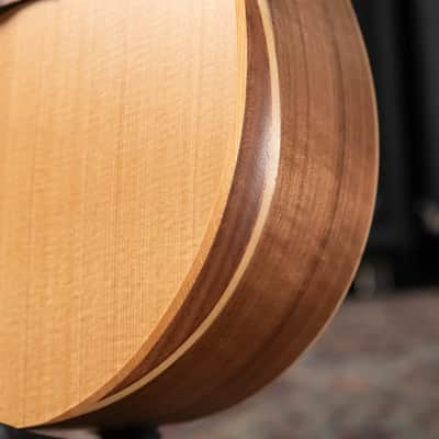 Taylor Academy 10e Left-Handed Dreadnought Acoustic/Electric Guitar with Gig Bag image 9