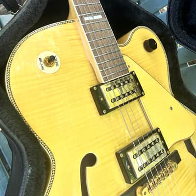 Devlin DVE 9 ~ Jazz Box ~ Hard Case image 13
