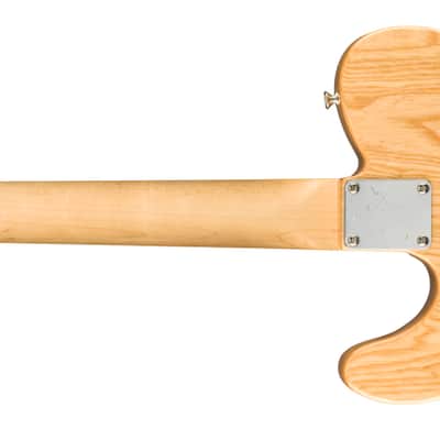 Fender Jimmy Page Telecaster Rosewood Fingerboard - Natural image 4