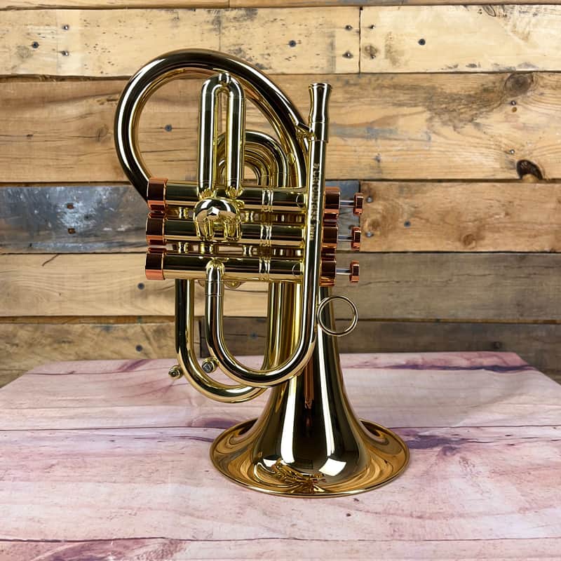 Carol Brass Taylor Phat Puppy Pocket Flugelhorn | Reverb