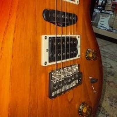 PRS SE Swamp Ash Special SA522IB 115392:IB image 5