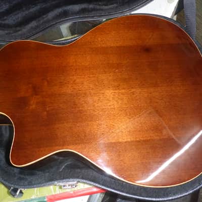 Alvarez AGW77CEAR Acoustic/Electric w/Case : Crowned & Dressed Frets image 12