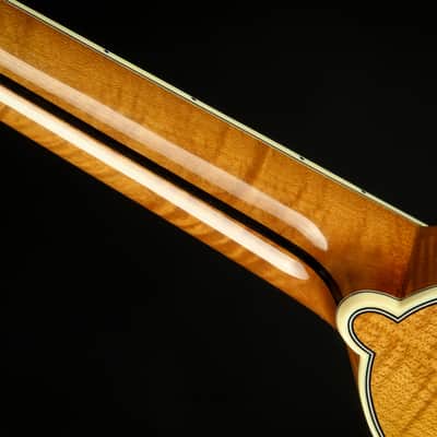 Bourgeois M5-A/NOS imagen 11