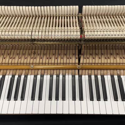 Steinway Model O 5'10" Grand Piano 1921 (Restored) - Satin Ebony image 21