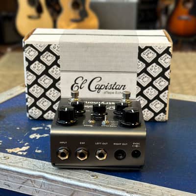 Strymon El Capistan Tape Echo V1 image 2