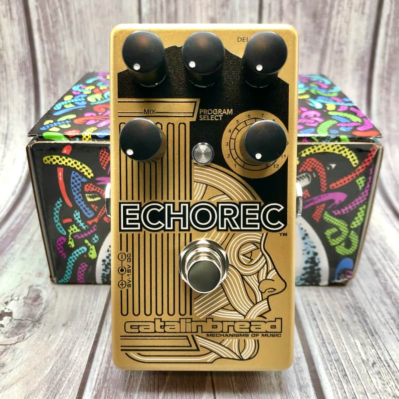 Catalinbread / Echorec / Binson-Style Magnetic Drum Delay image 1