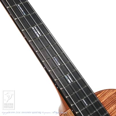 TODA GUITARS <MIJ>VB ALL Wild Mango 2026 image 13