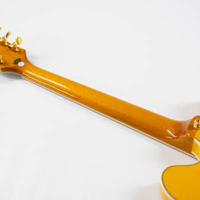 Epiphone Sheraton Frequensator Semi-hollowbody Electric Guitar - Natural image 10