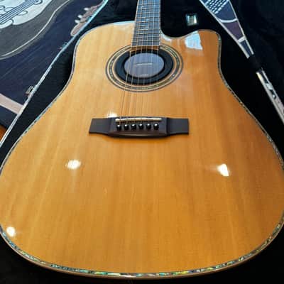 Zager ZAD-900CE  - Natural with Fishman Aura Pro Pickup image 2