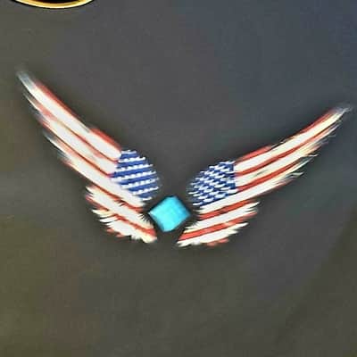 Randy Jackson Limited Edition American Tribute Acoustic Electric Guitar image 6