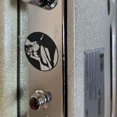 Gretsch Limited Edition G6164 Variety 125th Anniversary Combo Amp 2008 - Silver Sparkle on White Space-Age Vinyl image 11