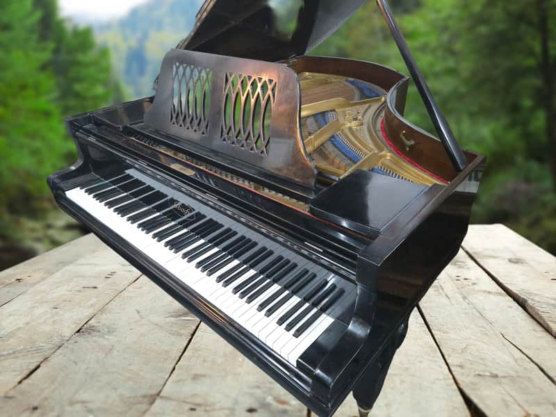 Ibach 6' Grand Piano 1883 - Black image 1