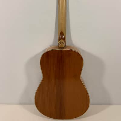Maupin 6 String Classical Flamenco 2025 image 4