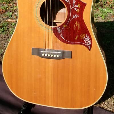 Aria WH-25 Hummingbird style guitar Japan Vintage  '70 Natural+Gig Bag image 3