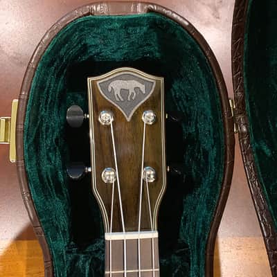 Maegen Wells-Lame Horse Collaboration Cosette Acoustic Flat Top Guitar with free Lame Horse Ukulele image 16
