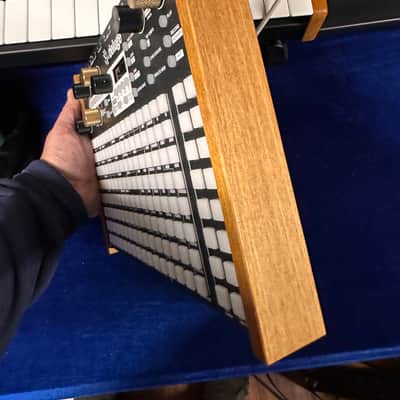 Synthstrom Audible Deluge 64-Voice Desktop Synthesizer with OLED Display 2022 - Present - Black image 8