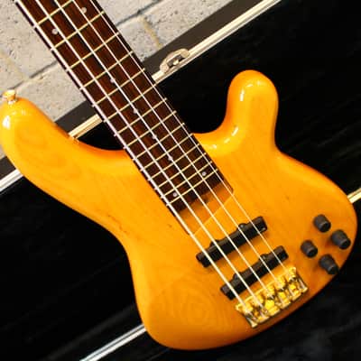 Fernandes APB-5 FRB 100 String Bass 1993 Vintage Natural Made in Japan image 19