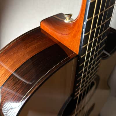 Brian Applegate SJ Fan Fret Multiscale Brazilian Rosewood image 8