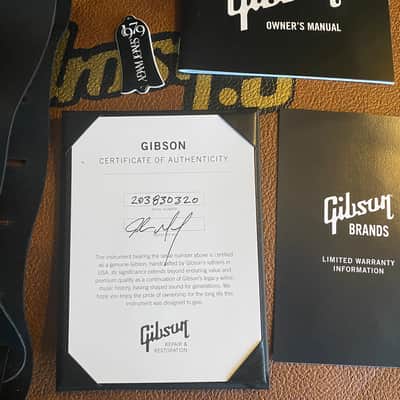 Gibson Adam Jones Signature Les Paul Standard - Antique Silverburst image 18