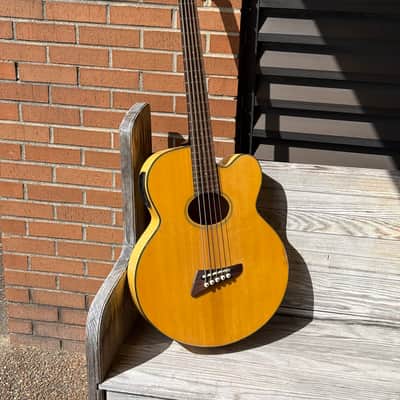 Tobias Toby Pro 5ce 5 String Acoustic Bass image 2