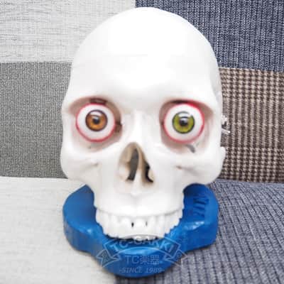 DR.NO effects Skull Fuzz “Original” image 4