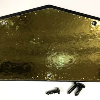 2013 Epiphone Les Paul Special II Control Cavity Cover With Screws image 2