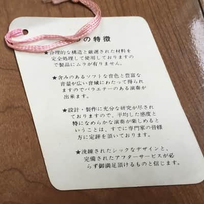 Guyatone GP-21 Pickups Japan Vintage Acoustic Mic image 4