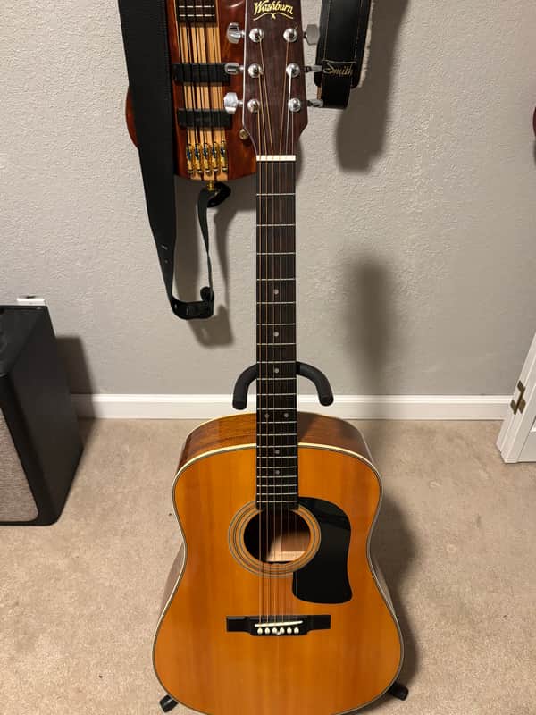 Washburn D13N image 1