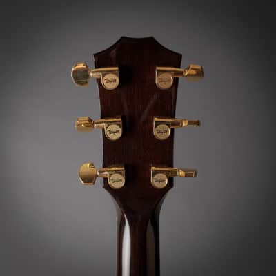 2007 Taylor T5-C2 Limited Macassar Ebony Top image 8