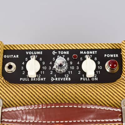D.A.W. High power Tweed DeLuxe, FluxTone Gold Equipped + Verb image 8