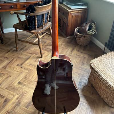 Eko Acoustic bass 2010 image 2