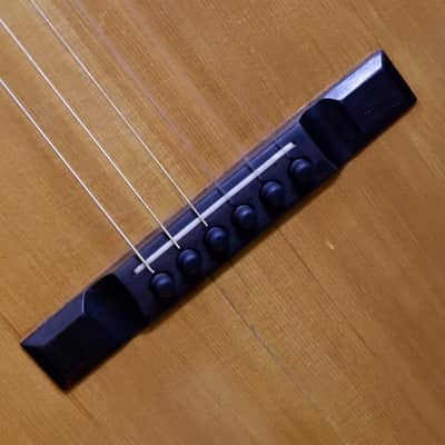 Washburn Model 1897 #111 Parlor Guitar 1903-1904 - Natural image 11