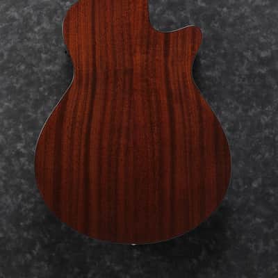 IBANEZ AEG70L-Tiger Burst High Gloss image 2